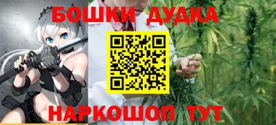 стафф Новокубанск