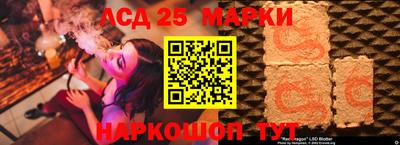 стафф Новокубанск