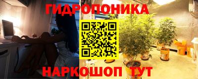 дживик Новозыбков