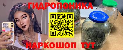 дживик Новозыбков